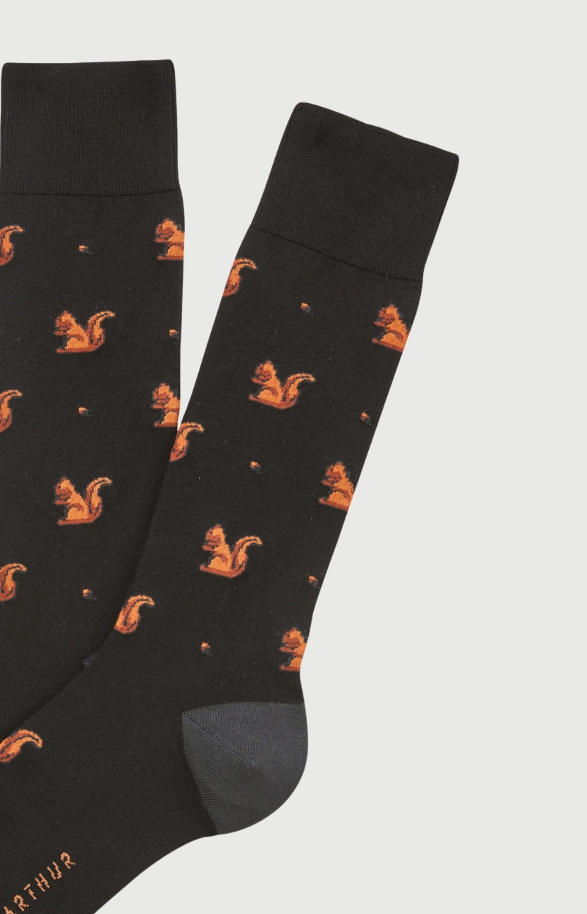 Chaussettes coton écureuil homme 2