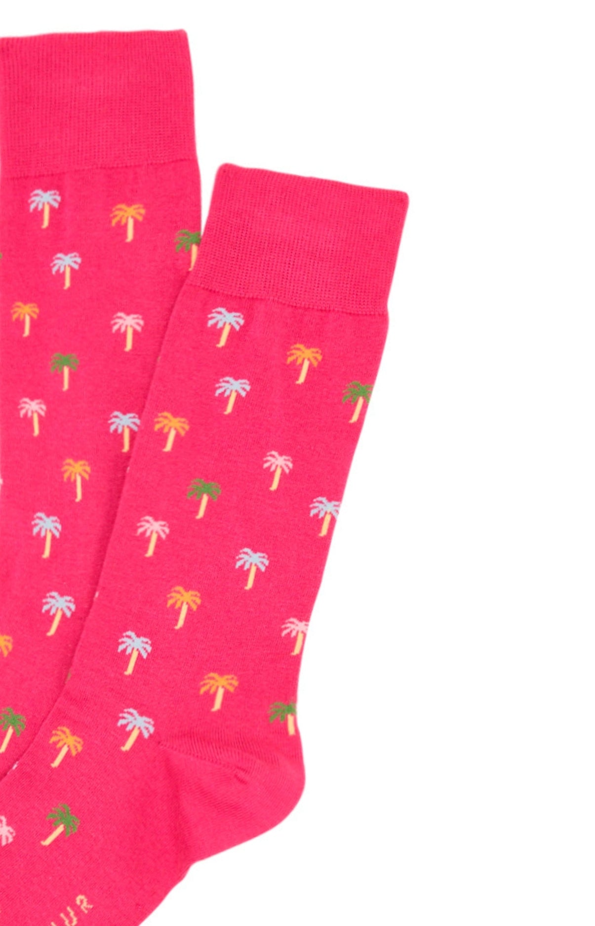 Chaussettes Palmier 1