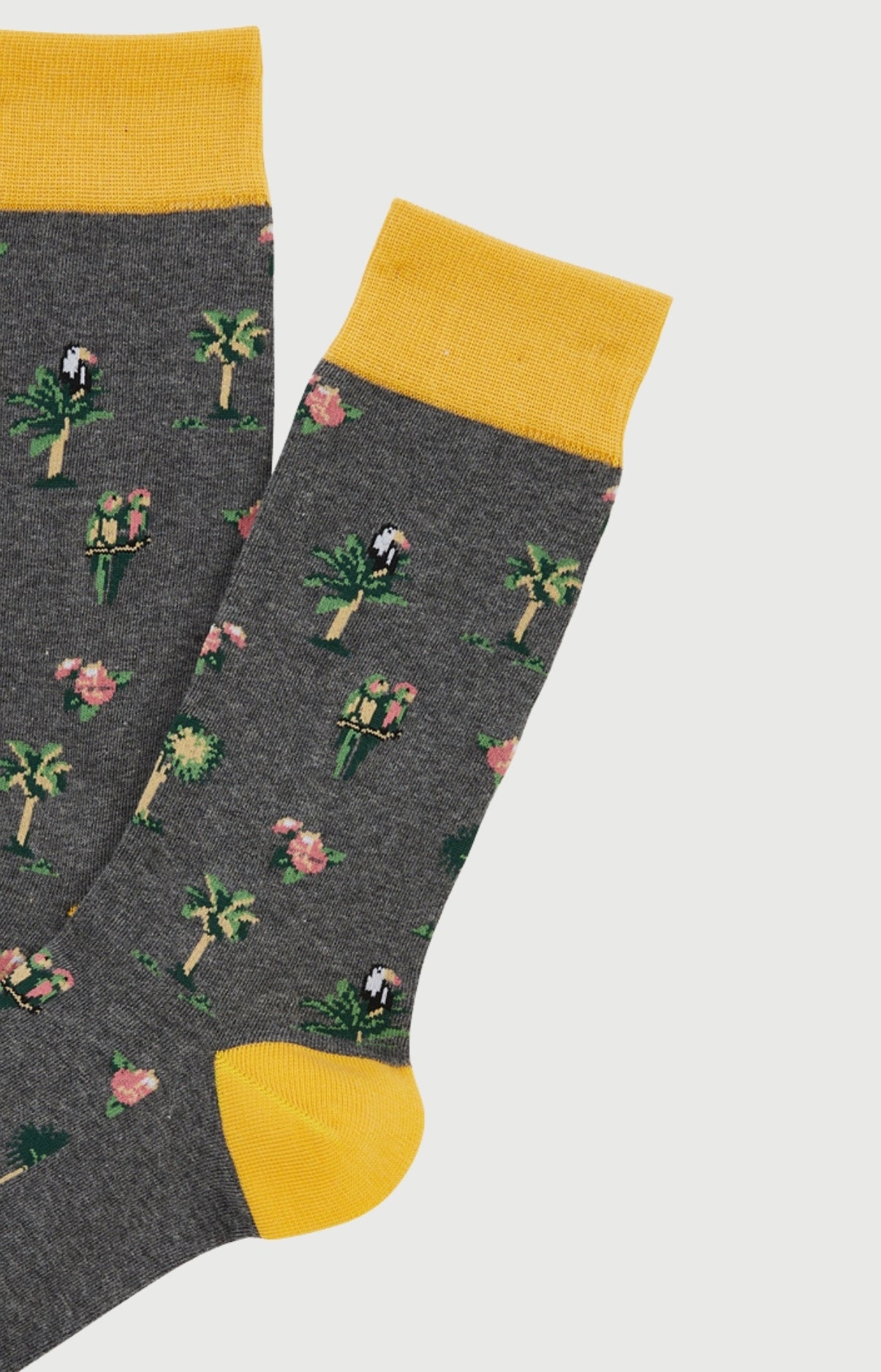 Chaussettes Homme Perroquet Gris Imprimé broderie perroquets et palmiers 2