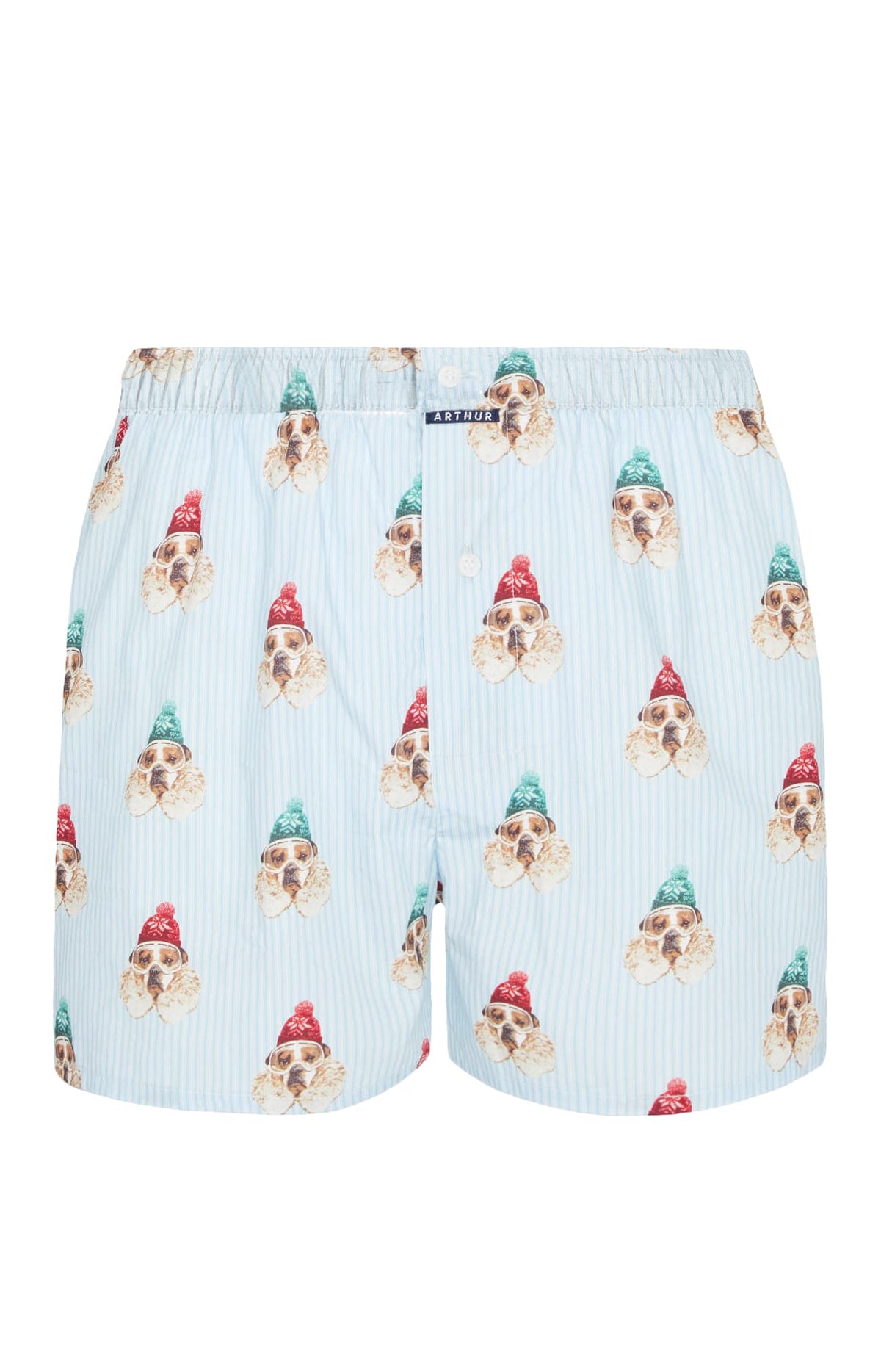 Caleçon classique Homme Chien des Montagnes Bleu 3