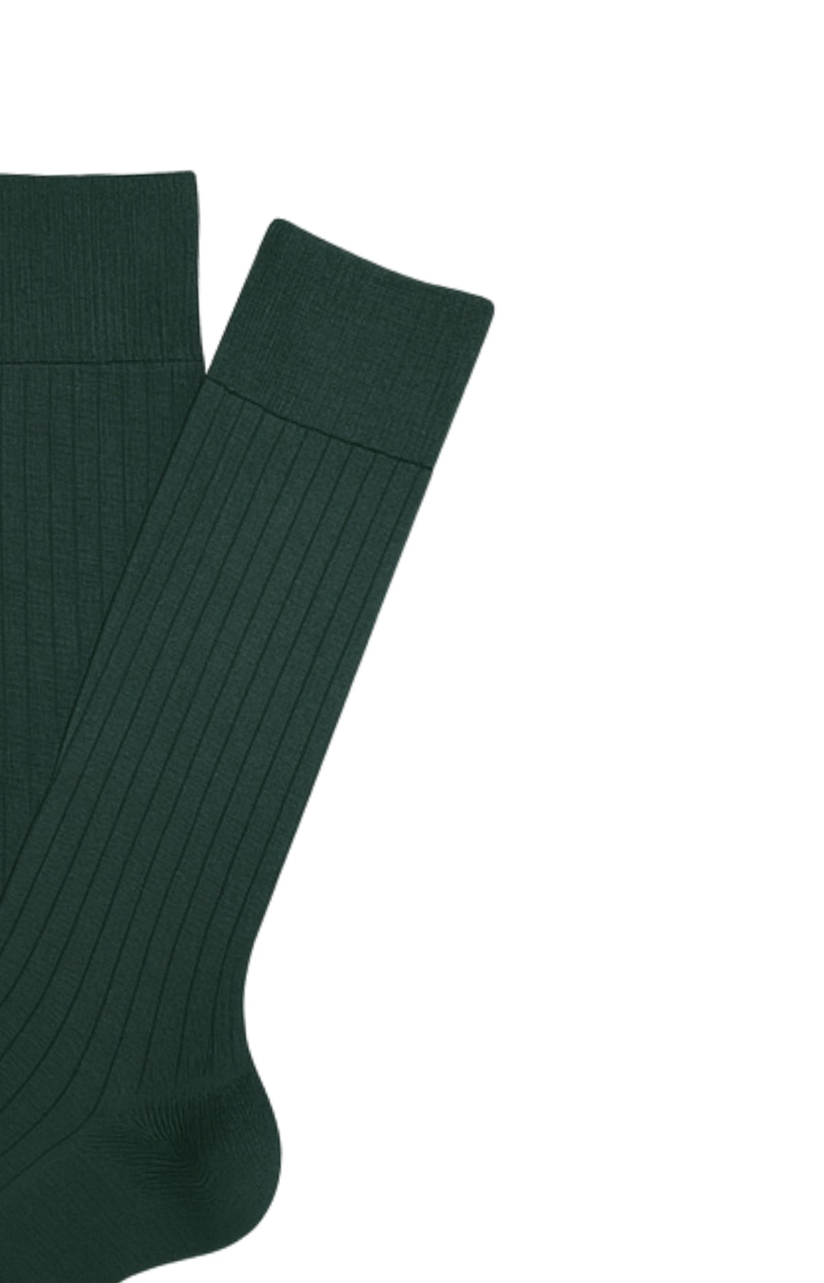 Chaussettes laine mérinos sapin homme 2