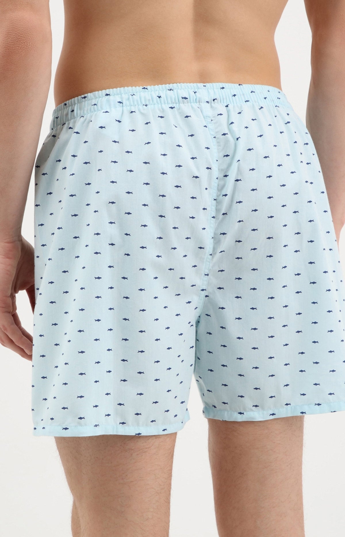 Caleçon homme requin bleu ciel 3