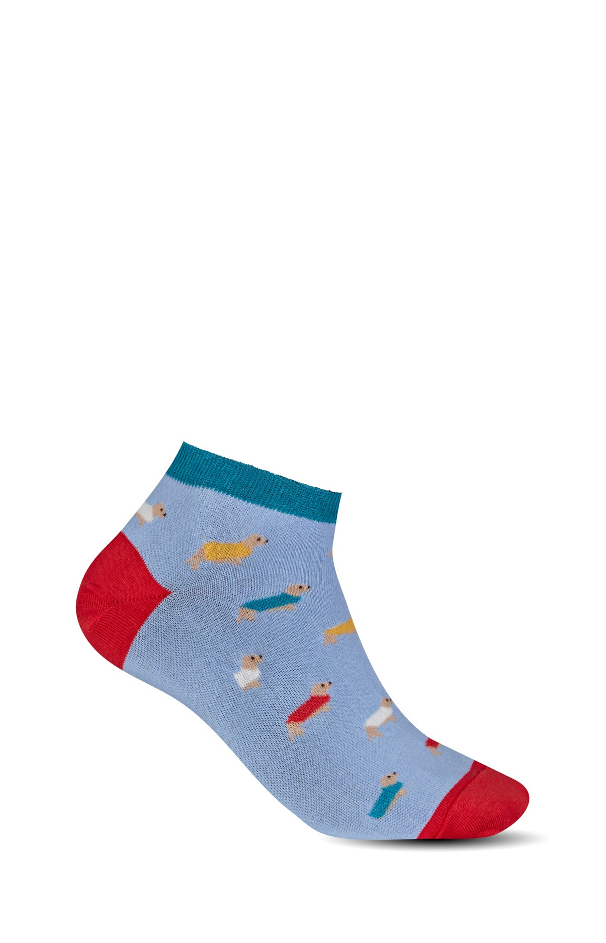 Chaussettes Femme Teckel Bleu 1