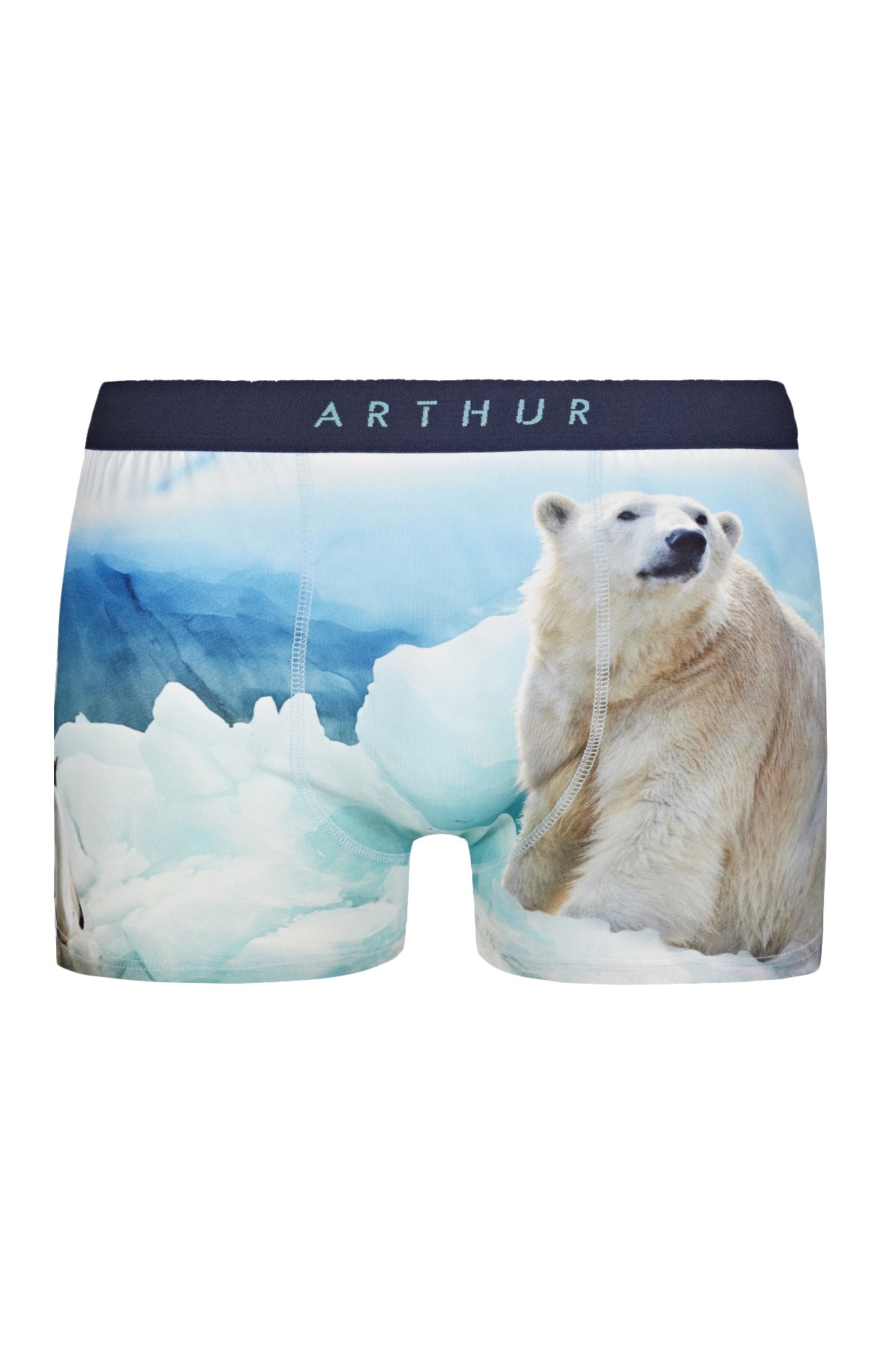 Boxer Homme Banquise Bleu 3