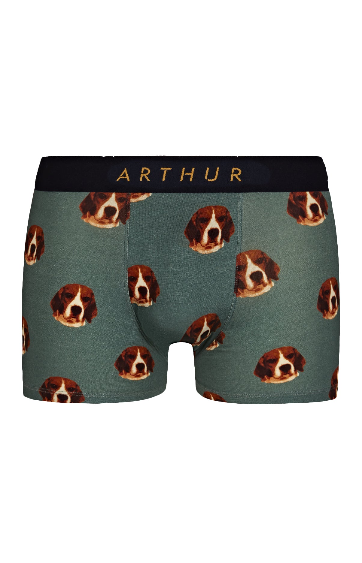 Boxer Homme Beagle Bleu 3