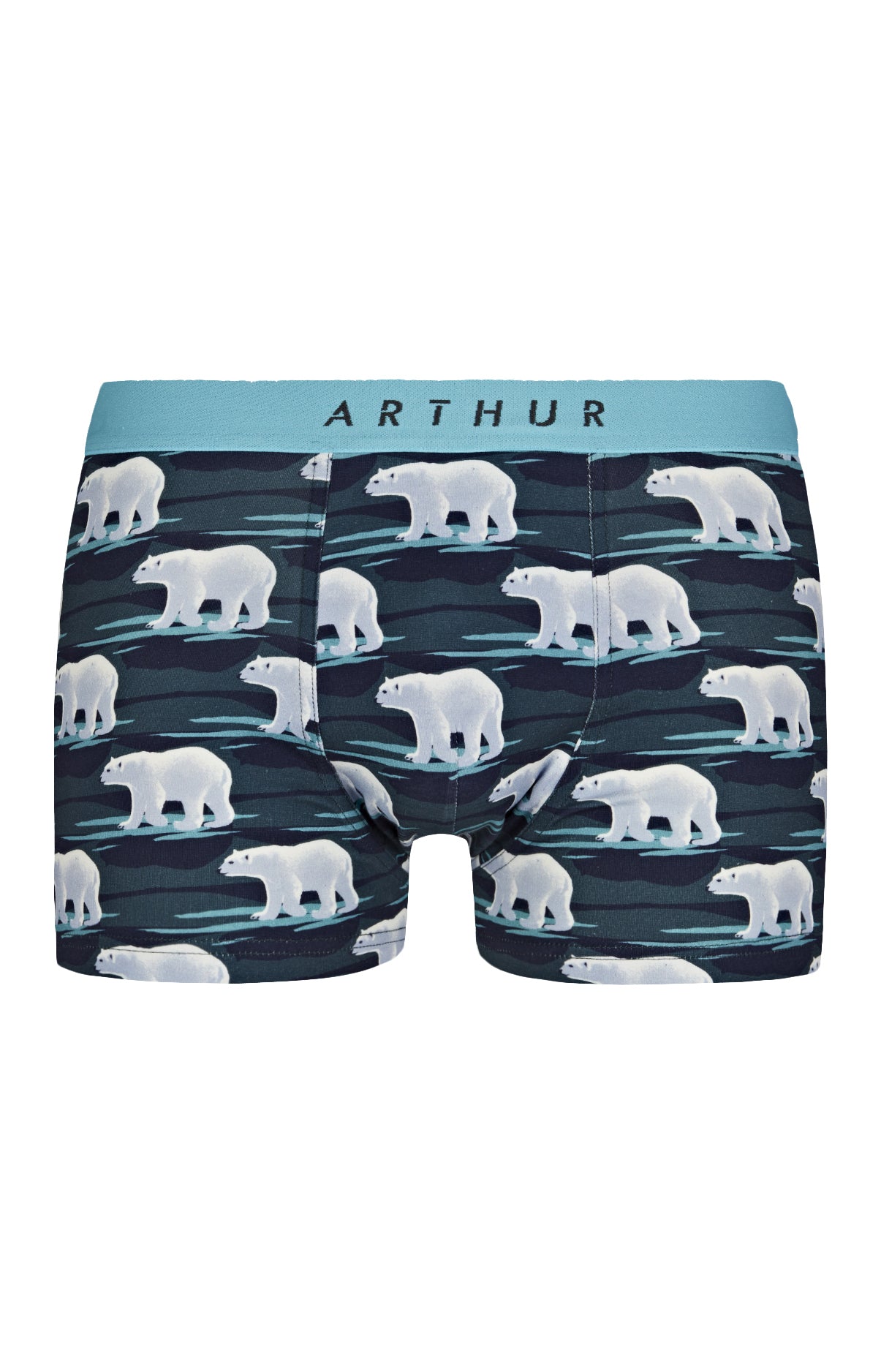 Boxer Homme Ours Bleu 3