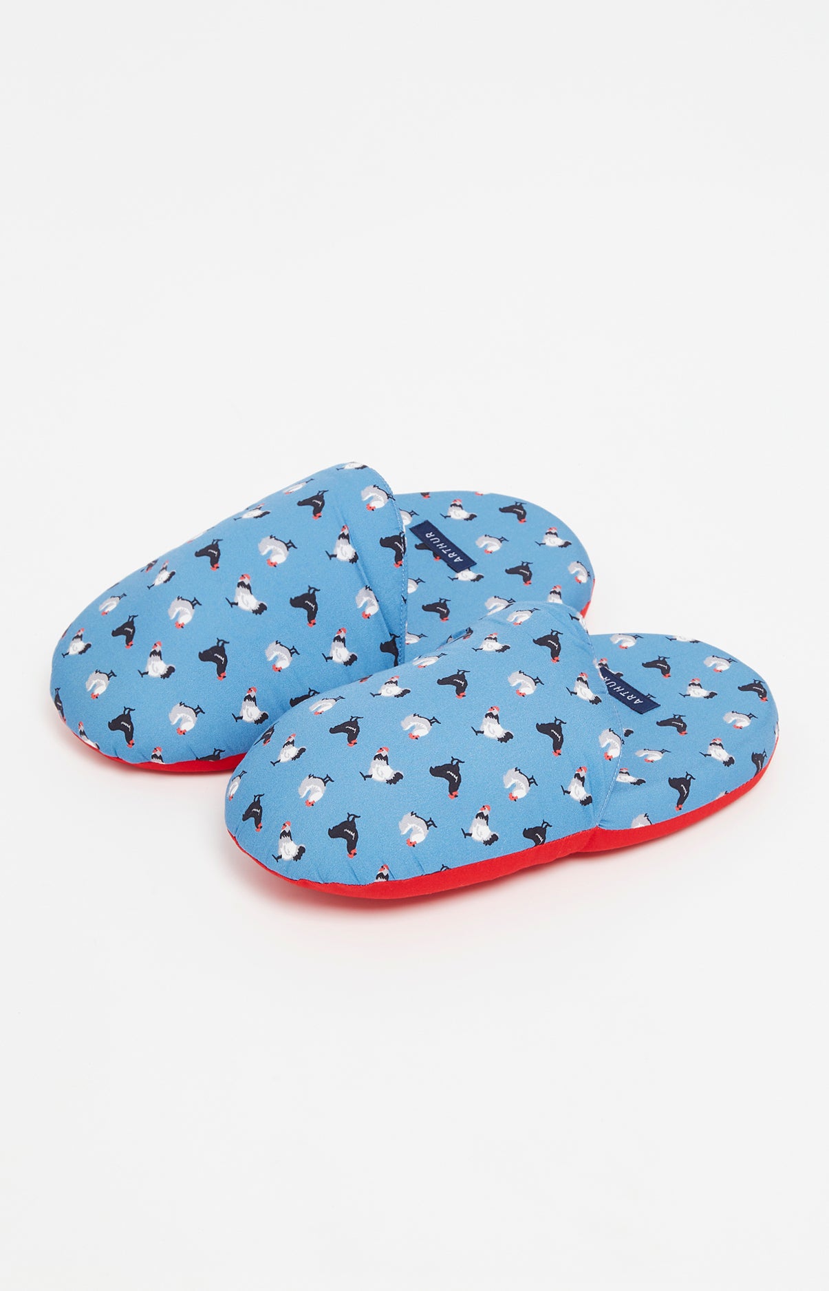 Pantoufles Homme Poule Bleu 1