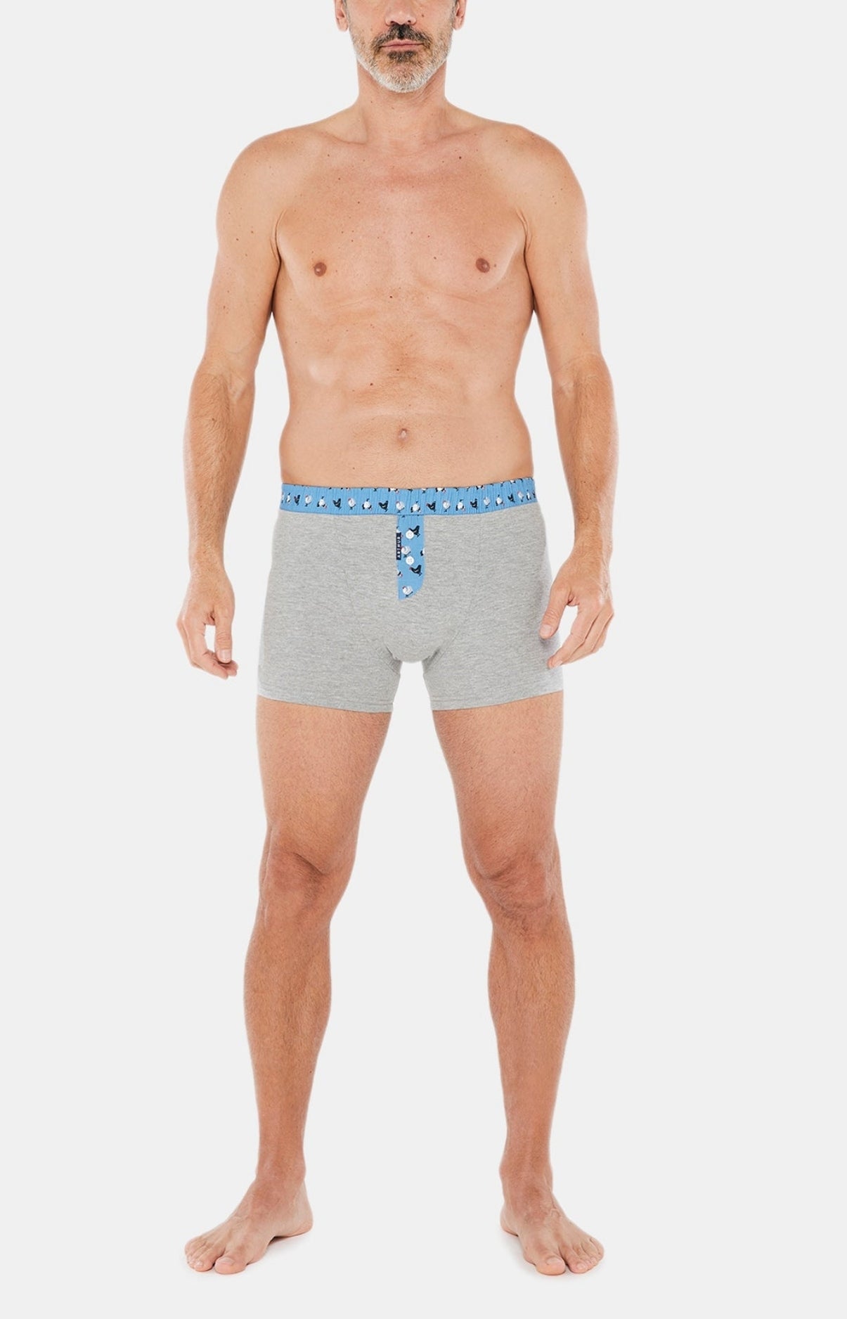 Boxer Homme Club Coton Gris 1