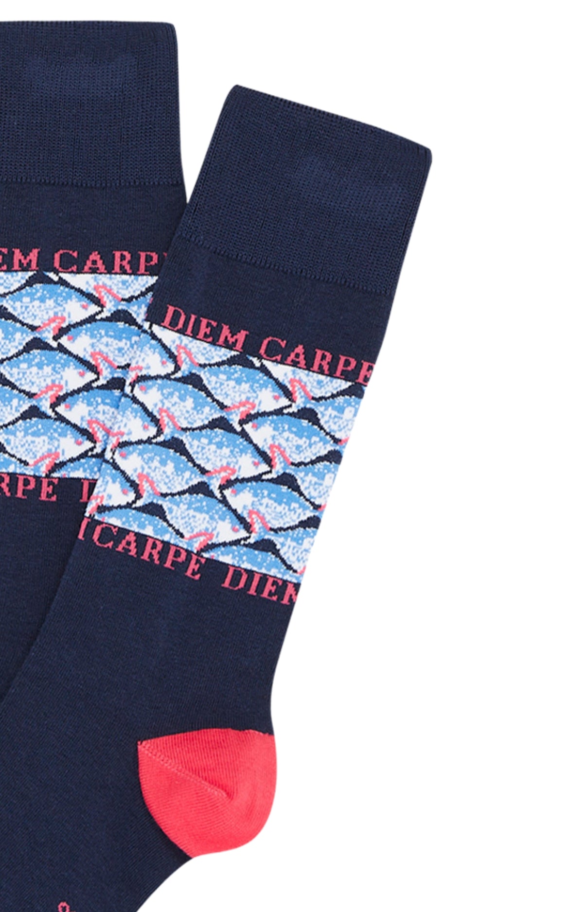 Chaussettes Homme Carpe Diem Marine 2