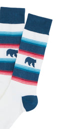 Chaussettes Homme Bear Pétrole PETROLE 2