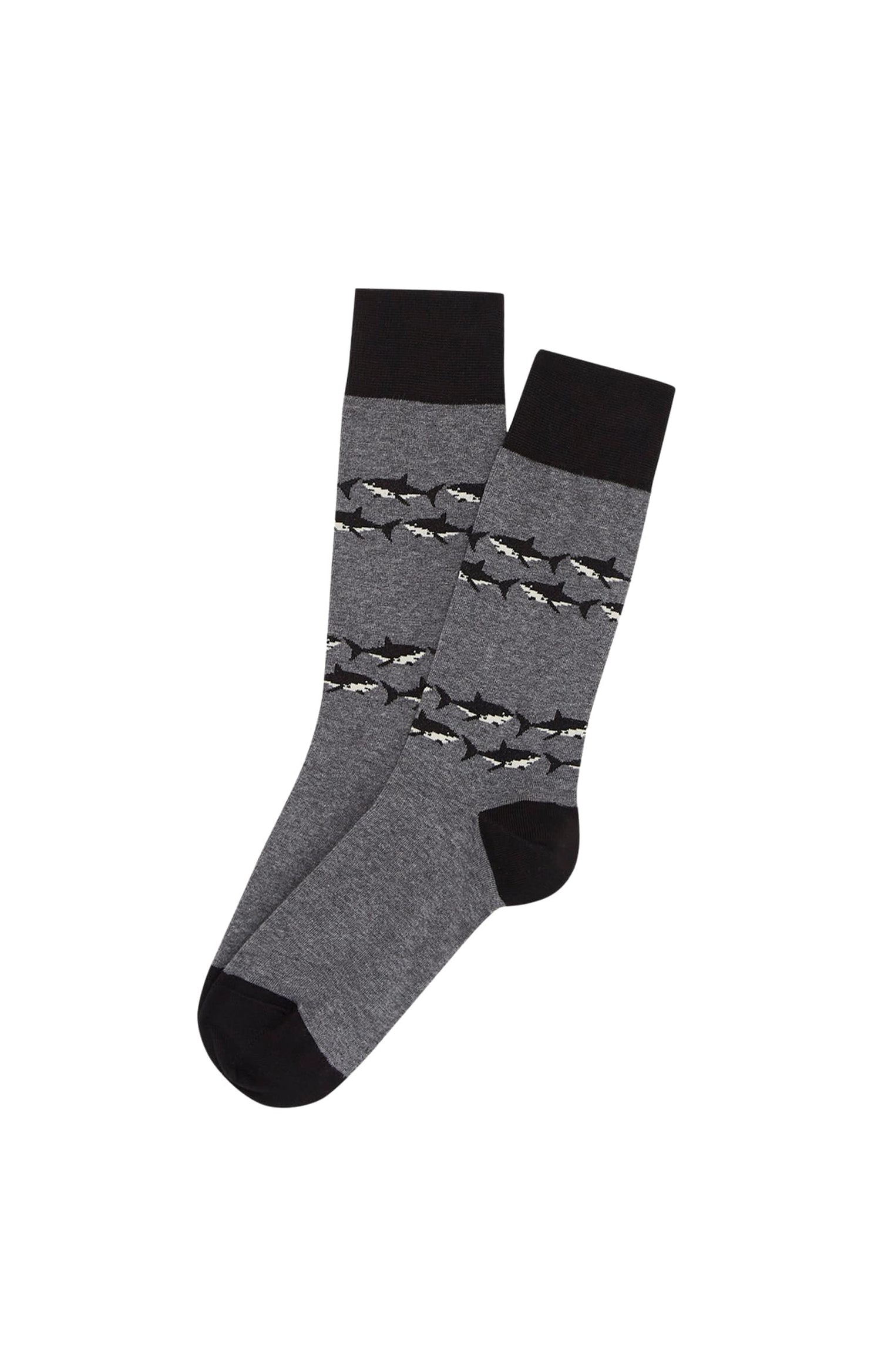 Chaussettes requin Gris 1