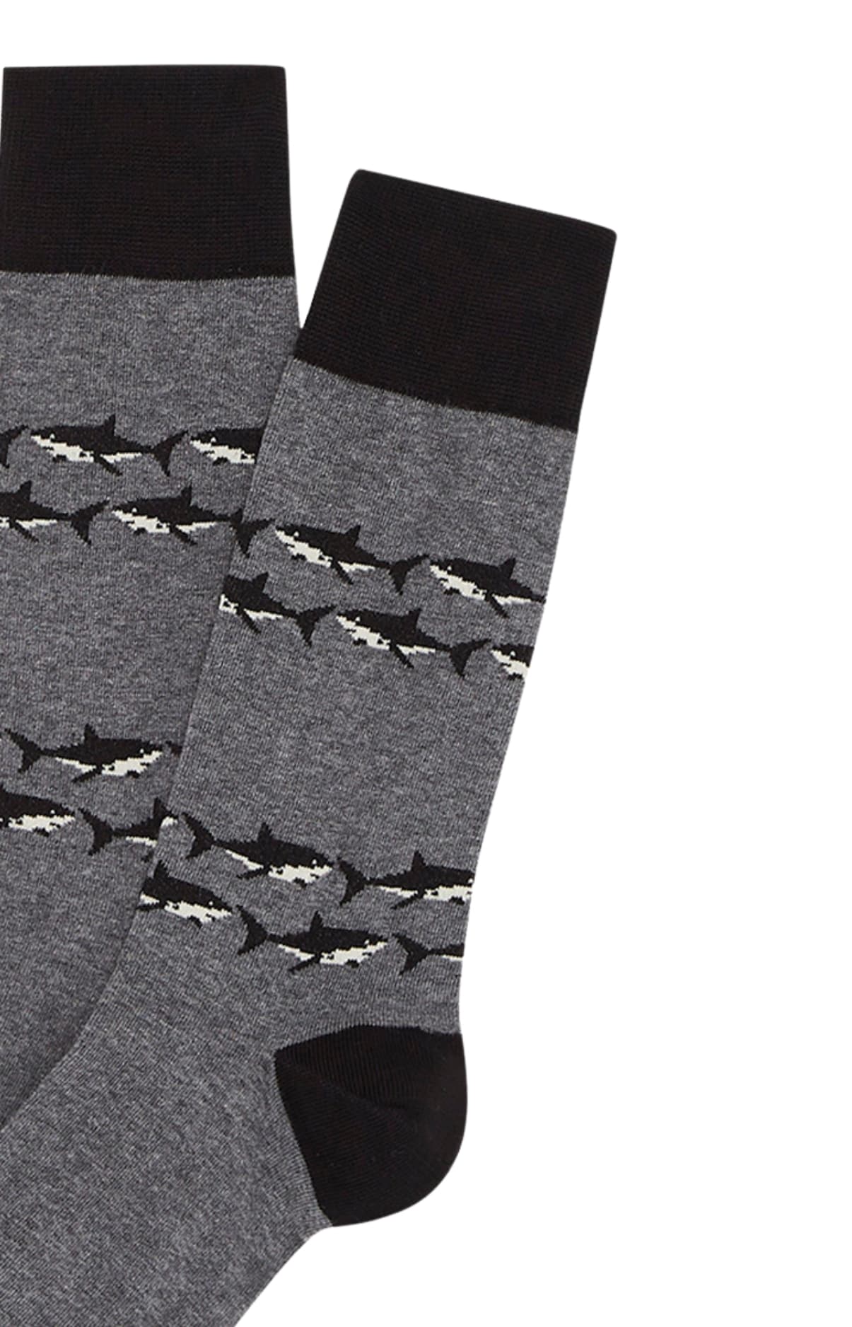 Chaussettes requin Gris 2