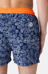 Short de bain - Coquillage marine 5