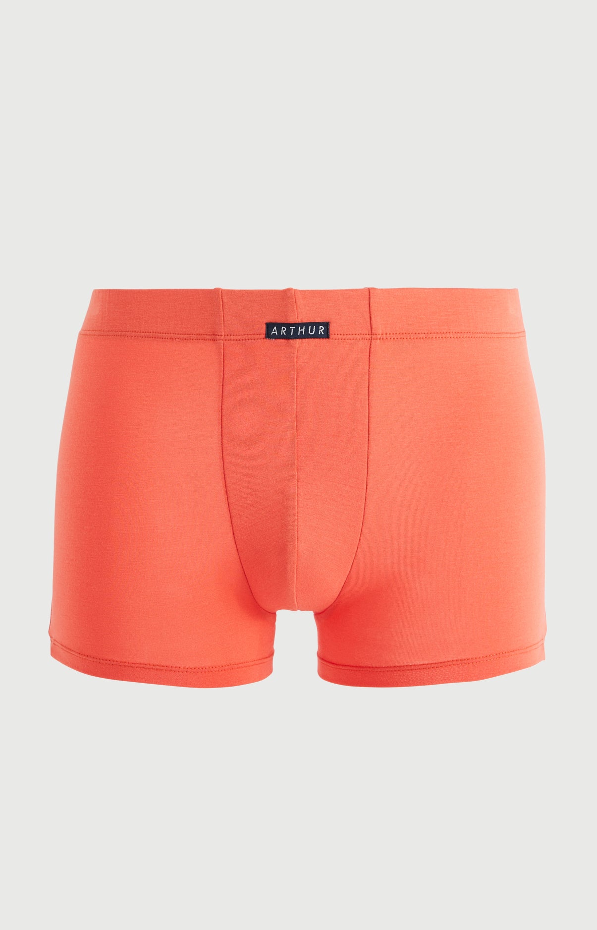 Boxer homme Bob Brique Couleur BRIQUE 3