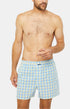 Caleçon classique Homme Vichy Multicolore 1