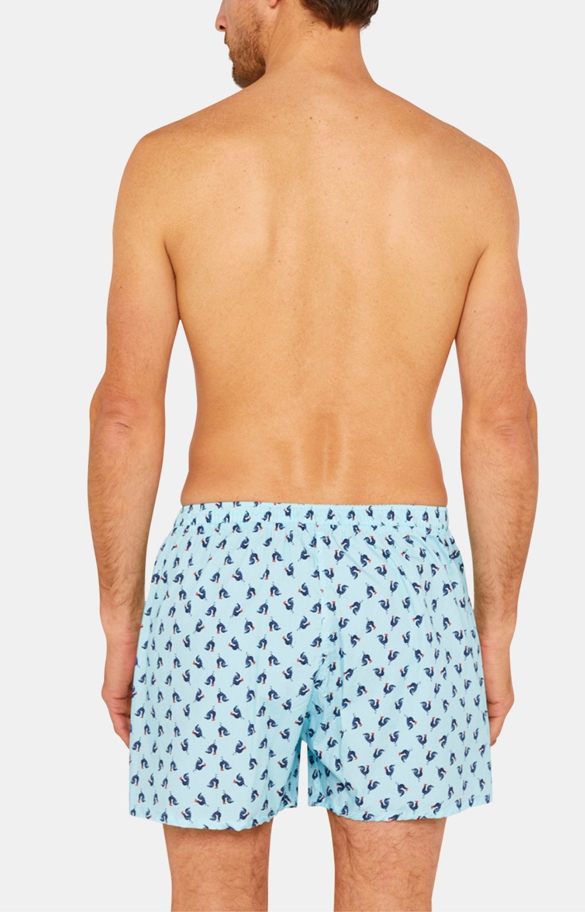 Caleçon classique Homme Coq Bleu 6