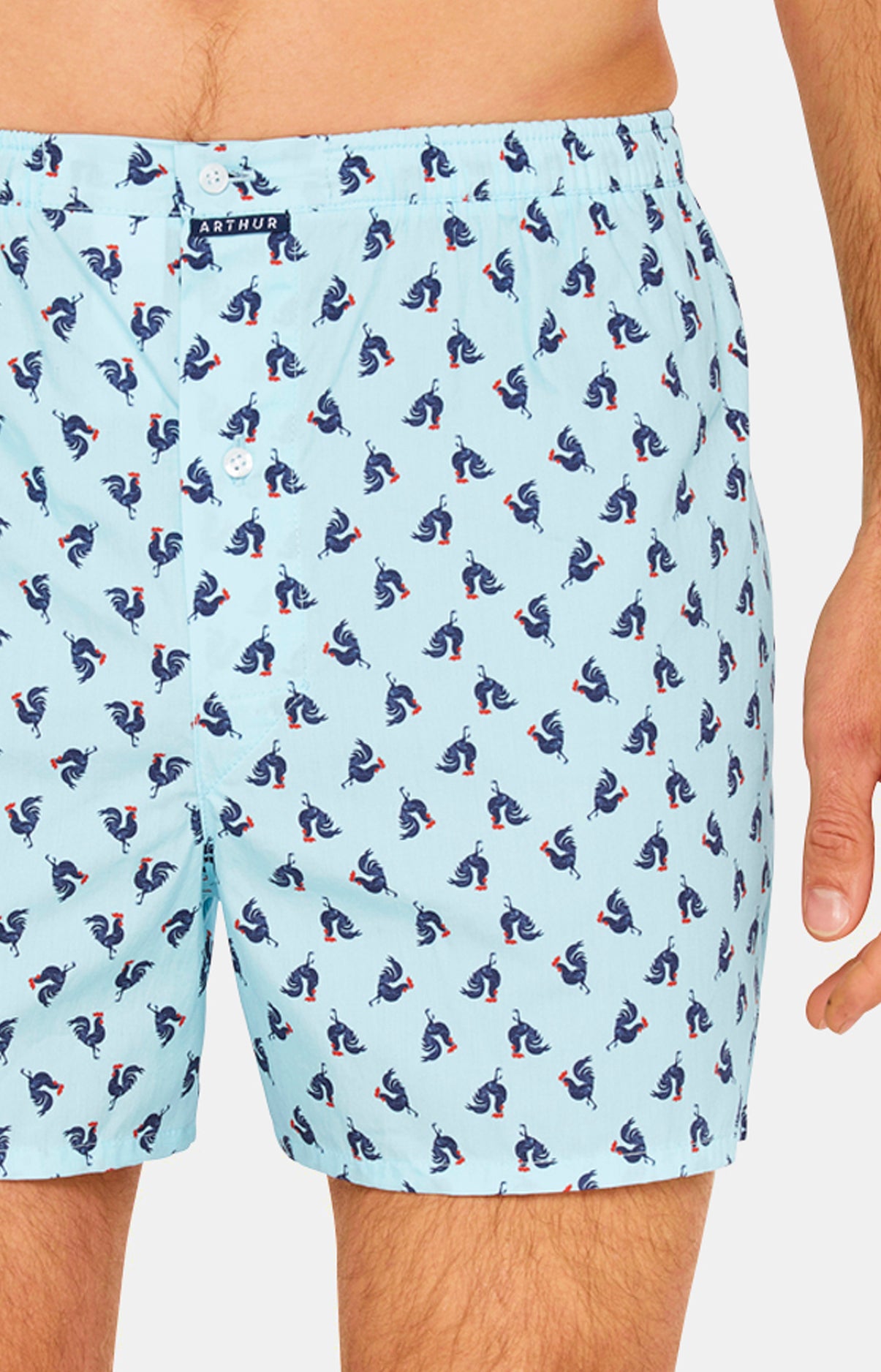 Caleçon classique Homme Coq Bleu 3