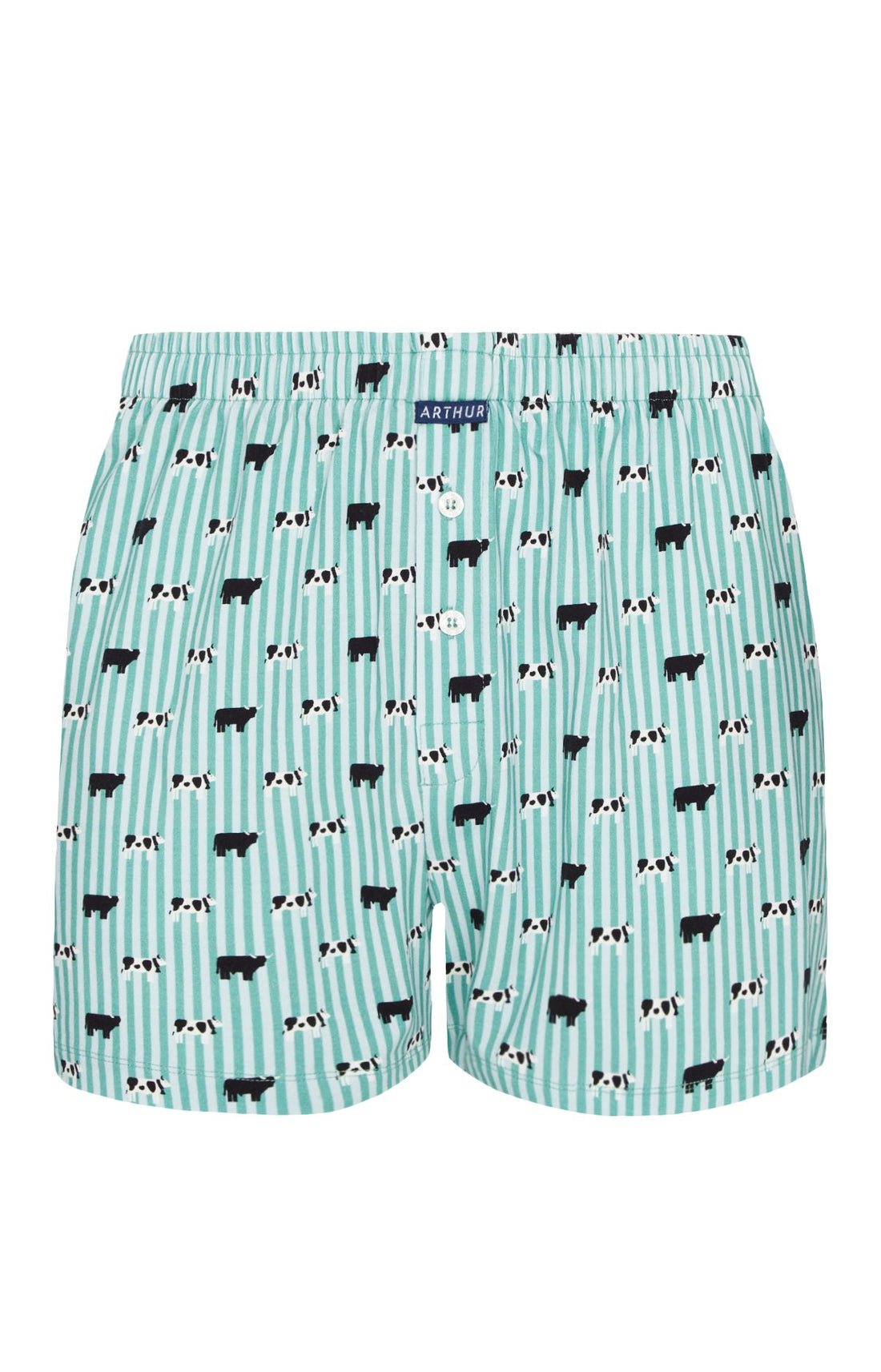 Caleçon de nuit Homme Meeuuh Vert 3