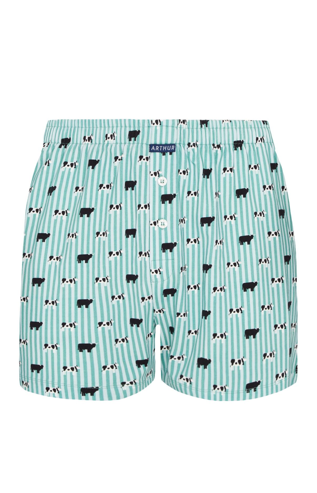 Caleçon de nuit Homme Meeuuh Vert 3