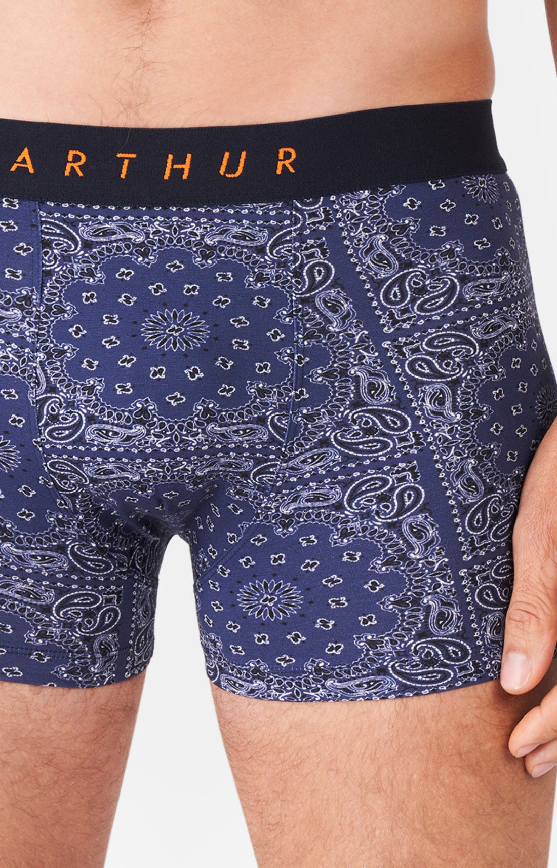 Boxer Bandana 2