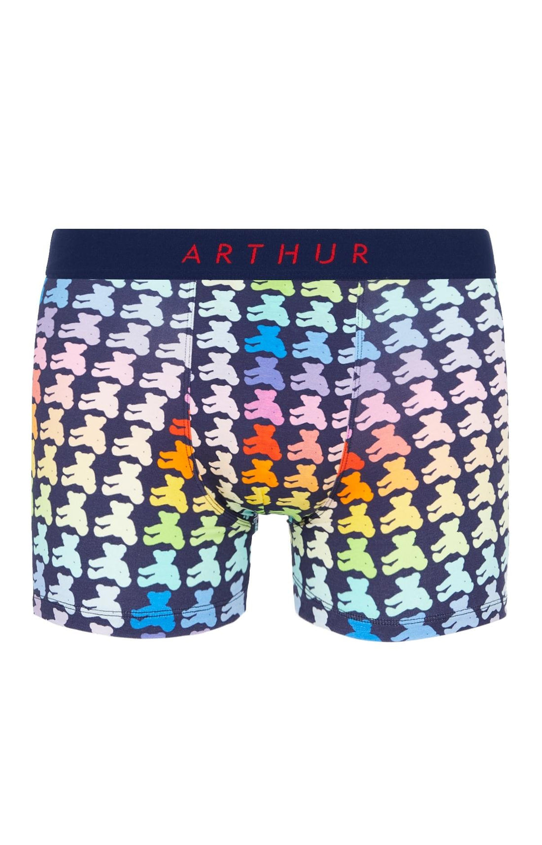Boxer Homme Teddy Multicolore 20