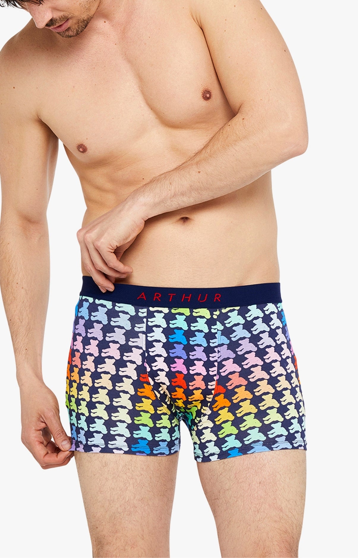 Boxer Homme Teddy Multicolore 18