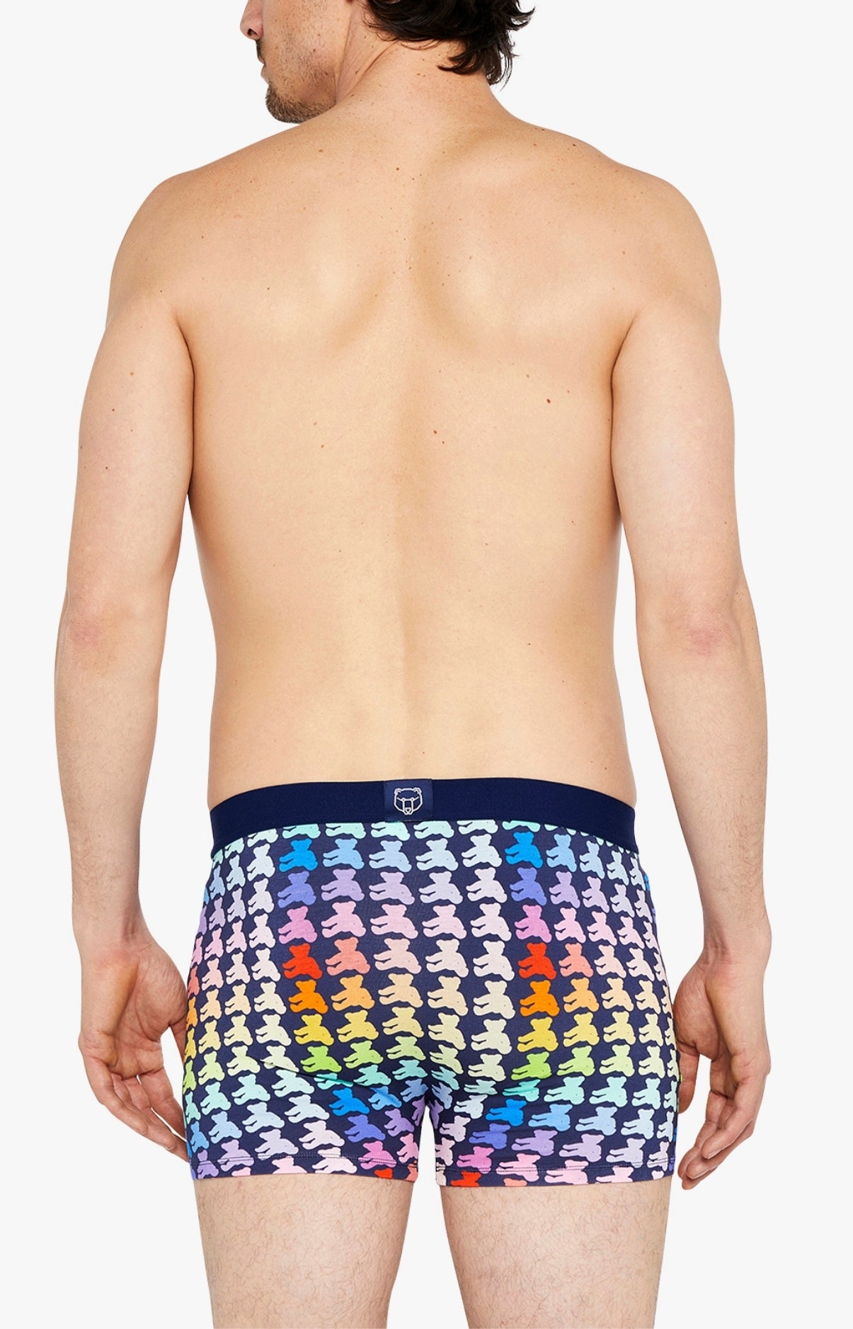 Boxer Homme Teddy Multicolore 22