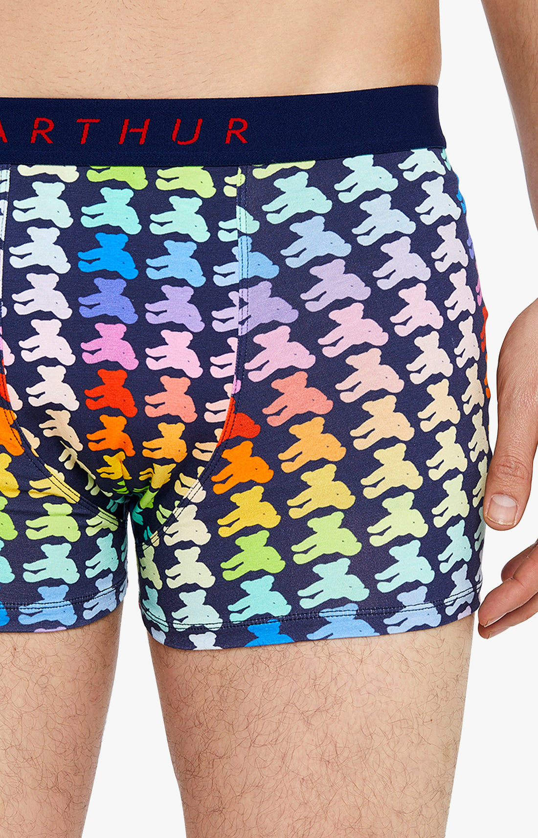 Boxer Homme Teddy Multicolore 19