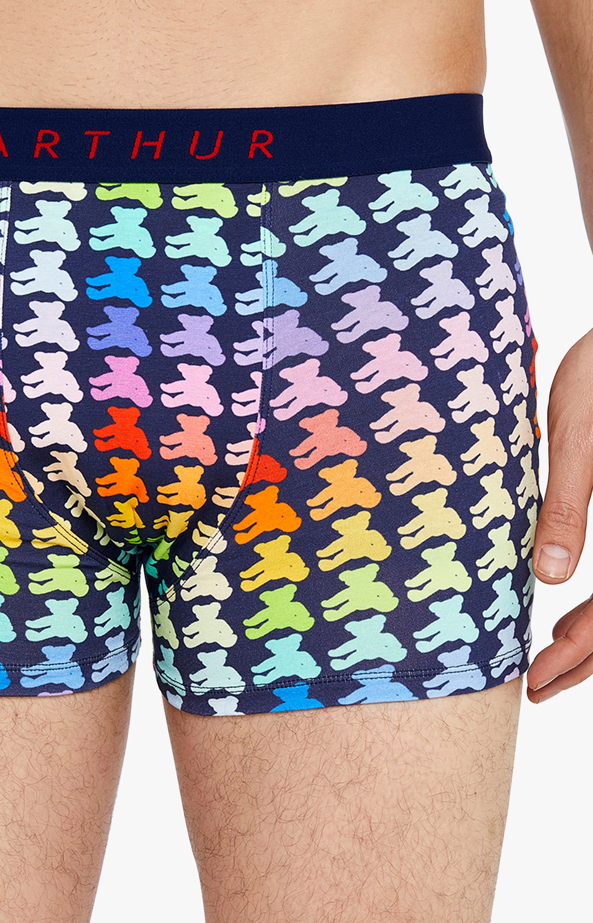 Boxer Homme Teddy Multicolore 19