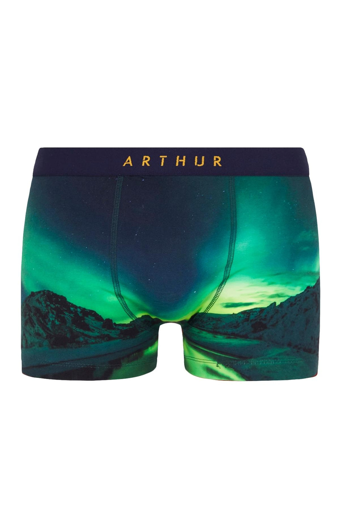 Boxer Homme Boréal Vert 3
