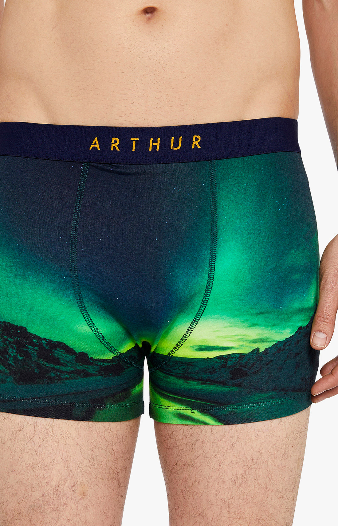 Boxer Homme Boréal Vert 2