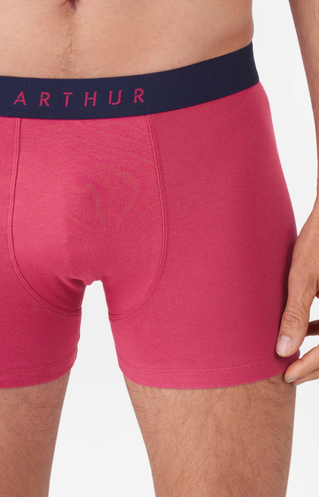 Boxer Coton 2
