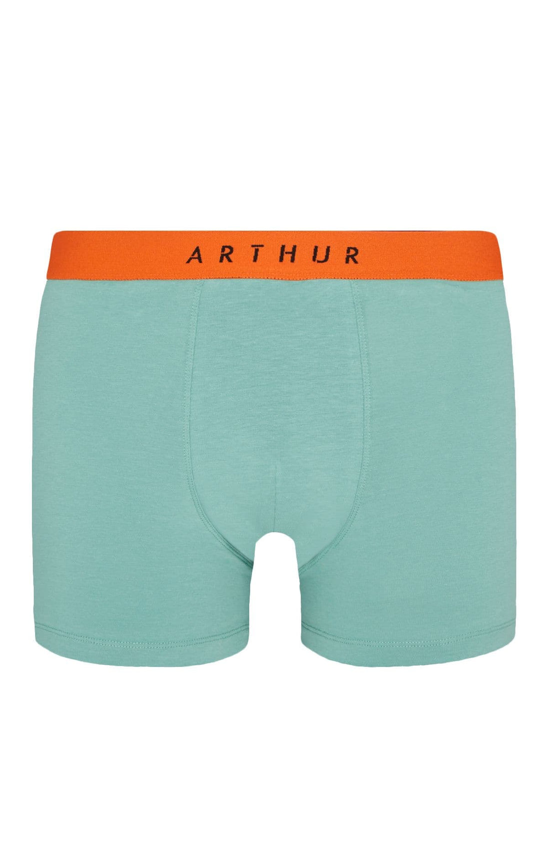 Boxer Homme Coton Homme Vert 3