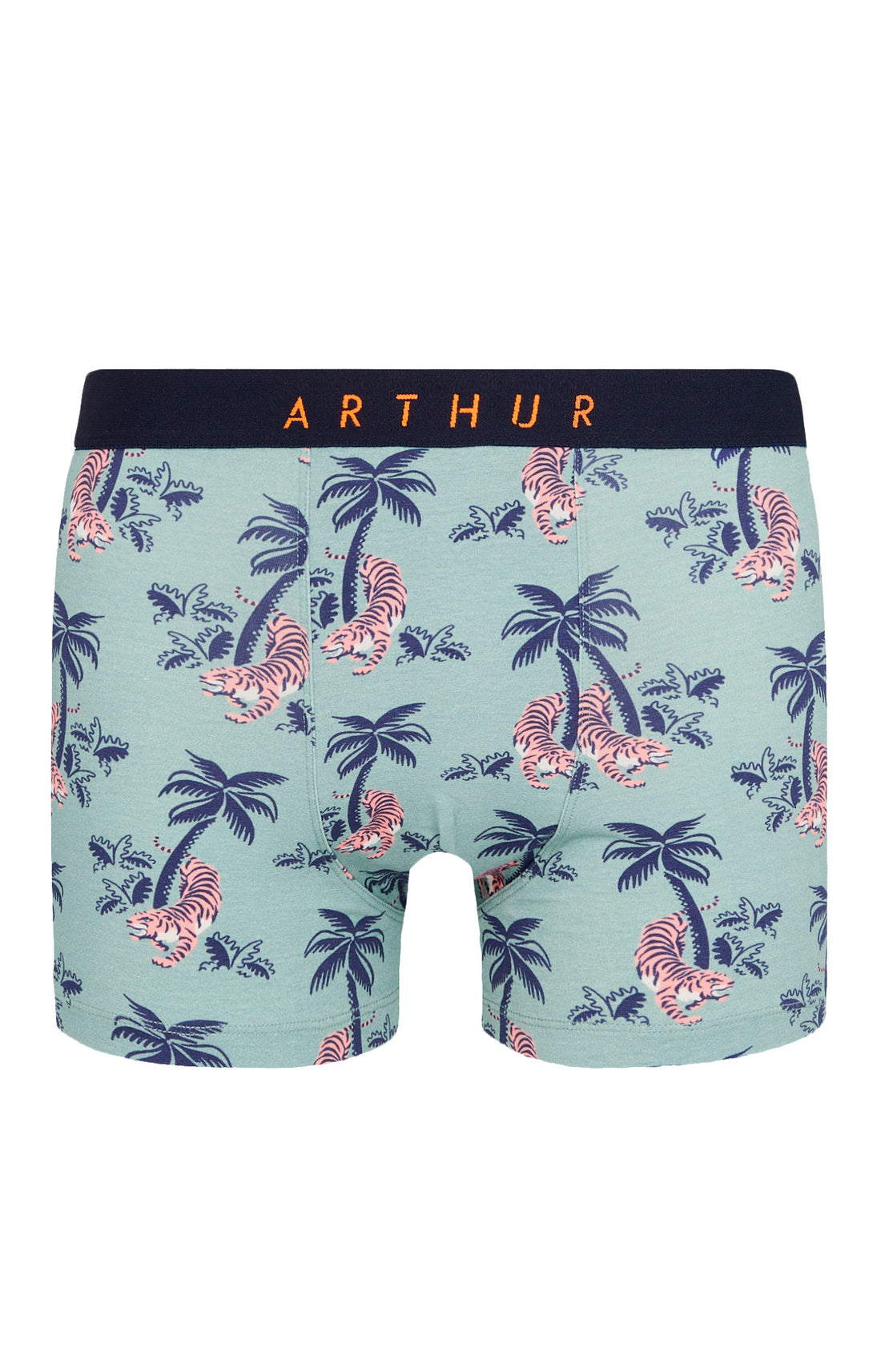 Boxer Fauve qui Peut 1