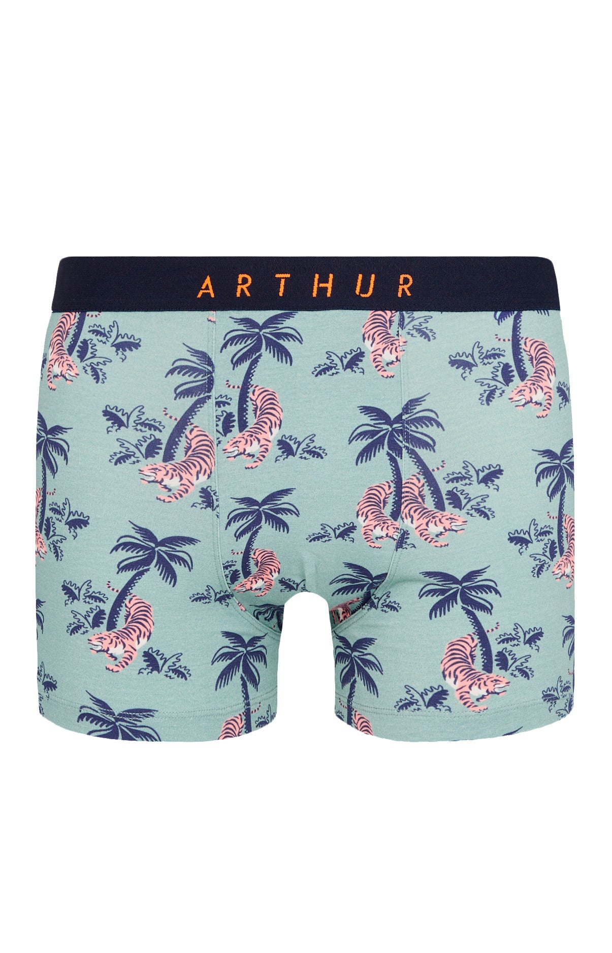 Boxer Fauve qui Peut 1