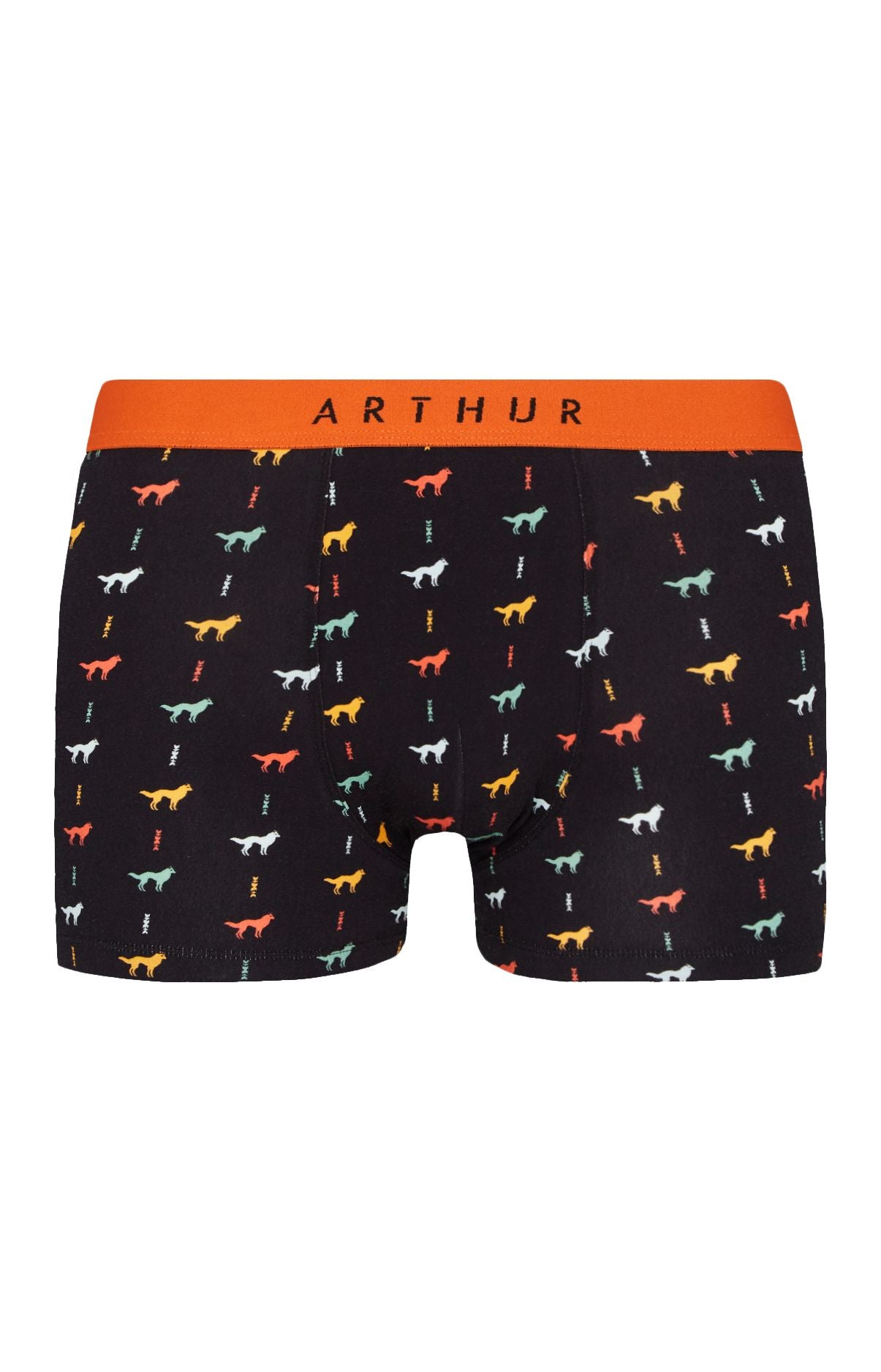Boxer Homme Jeune loup Homme Noir 3