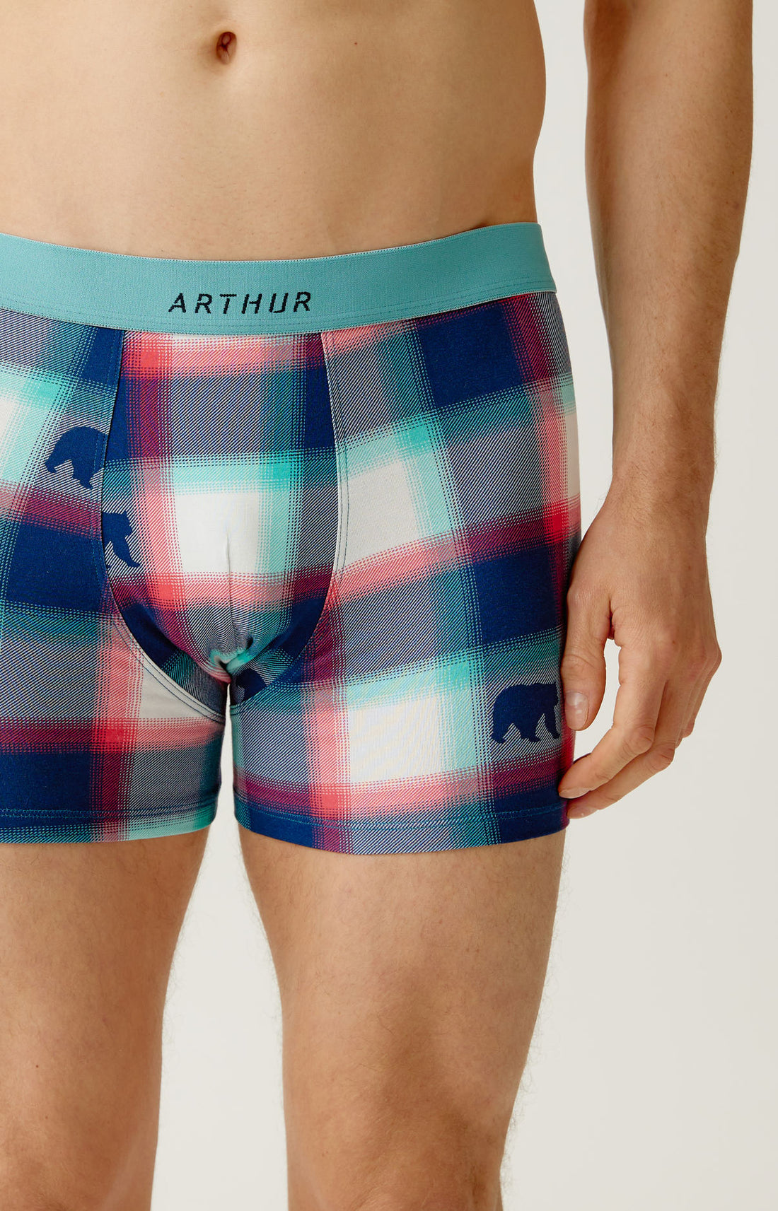 Boxers homme Bear MULTICOLORE 2