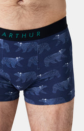 Boxers homme Nuit Polaire MARINE 2