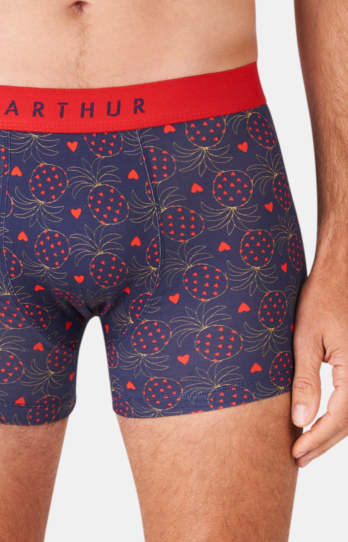 Boxer Fruit défendu 1