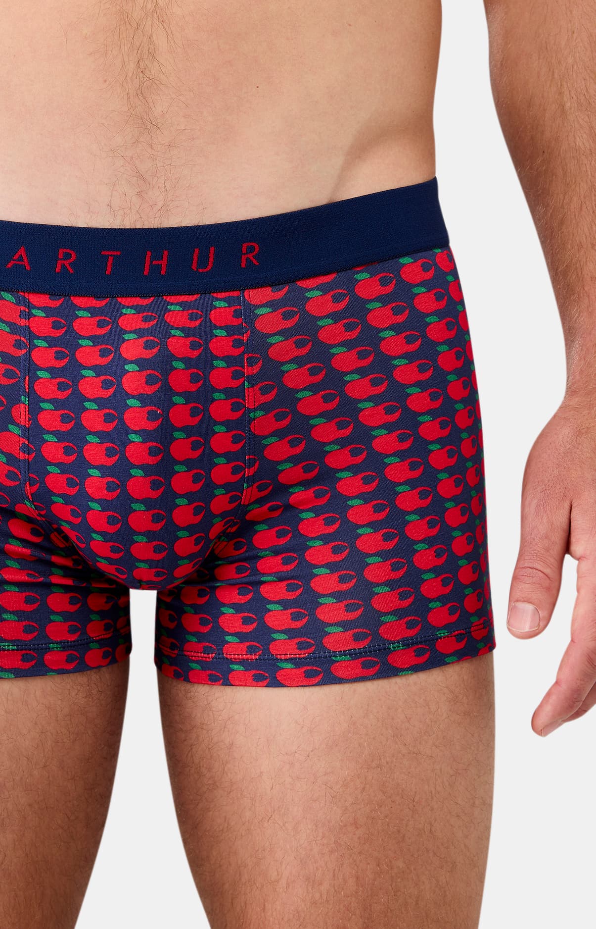 Boxer Pomme d&