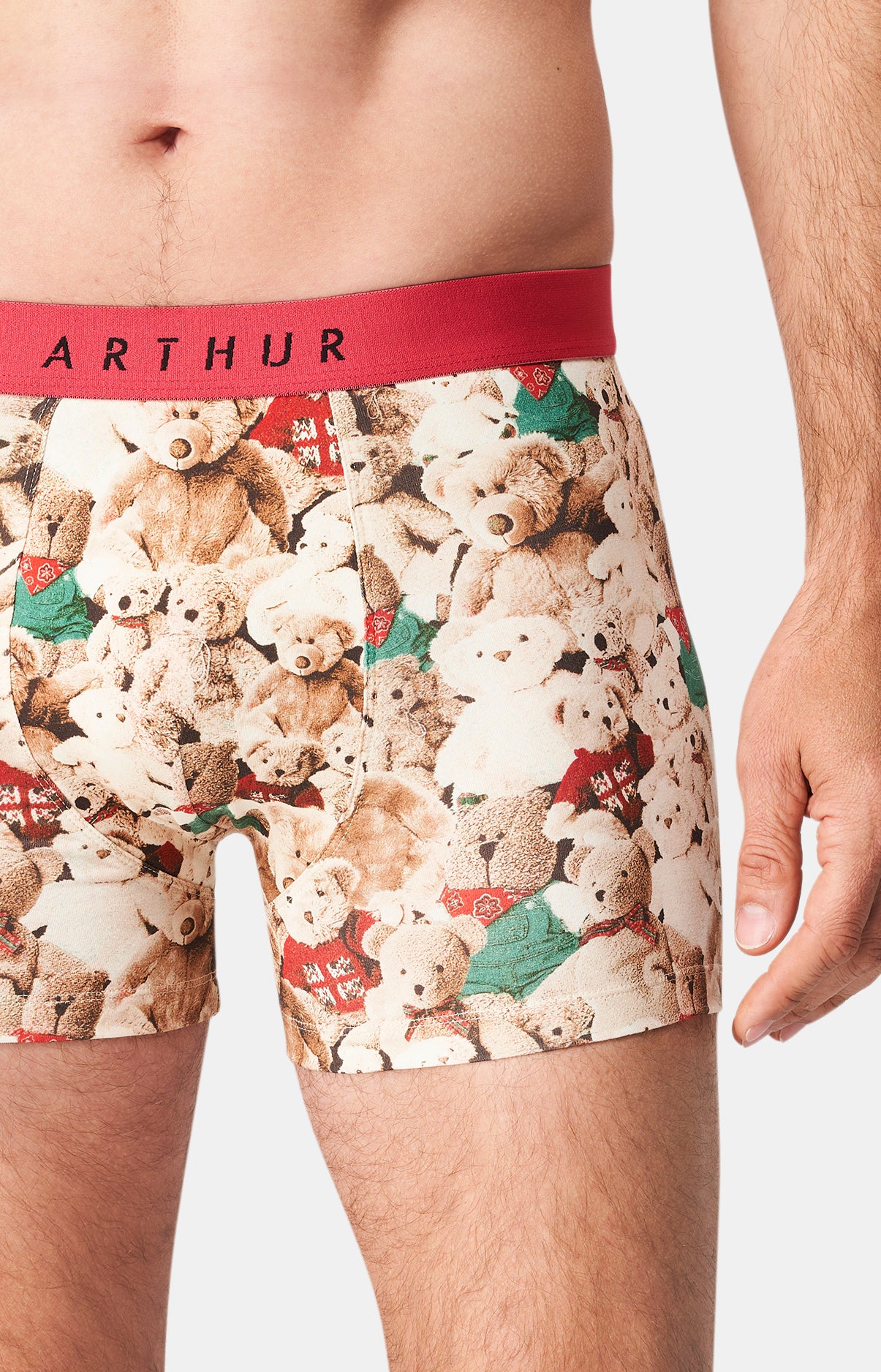 Boxer Homme Teddy Homme Beige et Marron 2