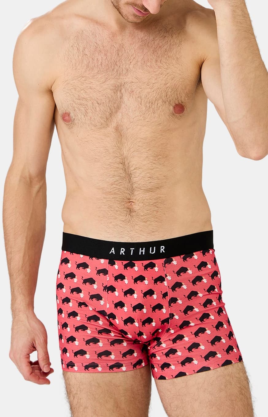 Boxer taureau olé - Rouge 2