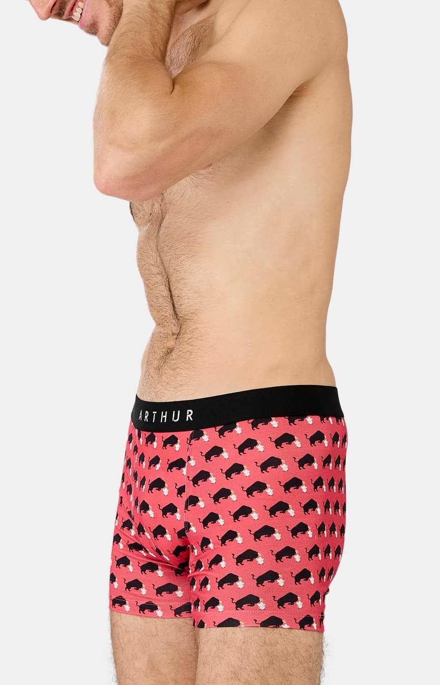 Boxer taureau olé - Rouge 4