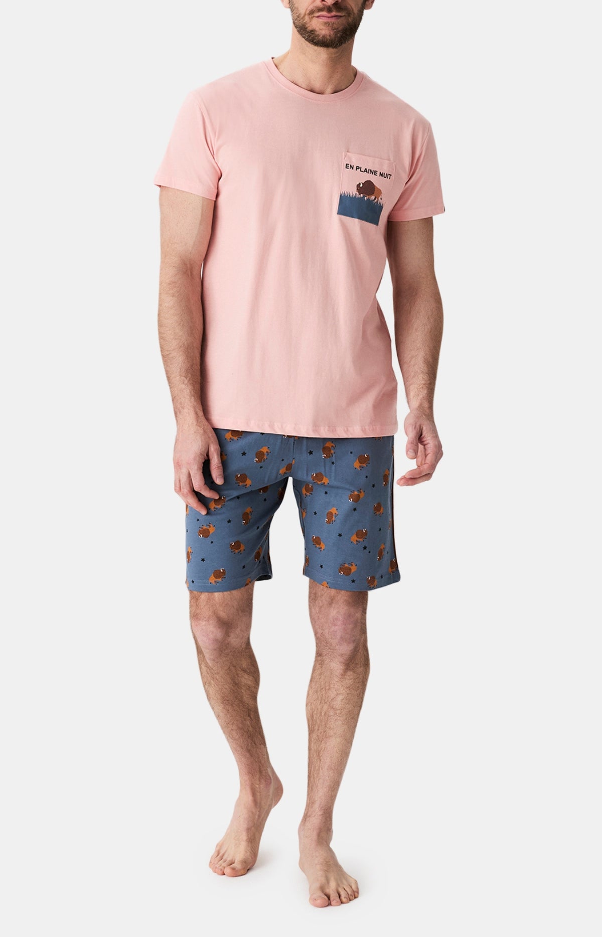 Pyjamas Homme En Plaine nuit ARDOISE 4