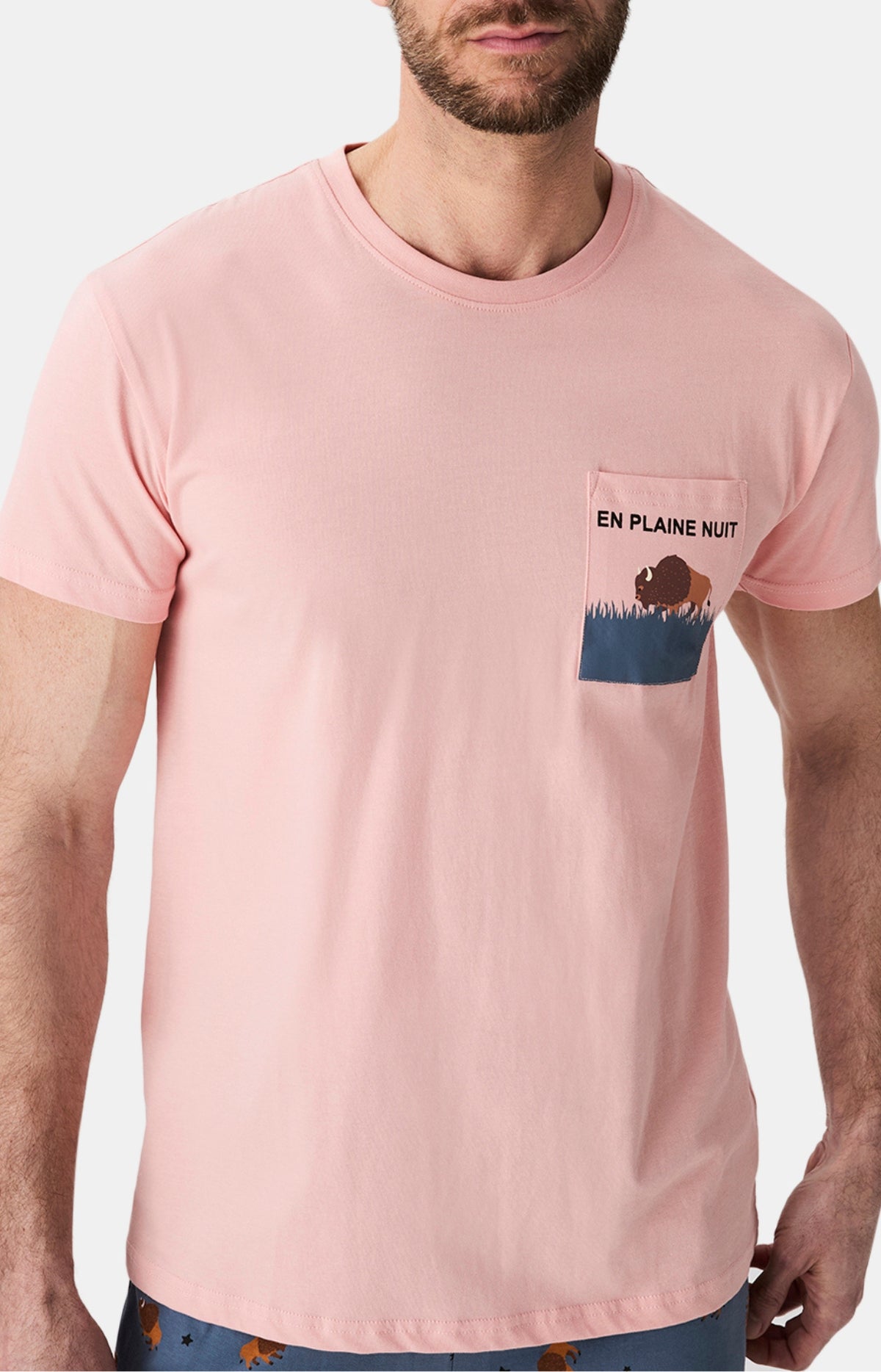 Pyjamas Homme En Plaine nuit ARDOISE 2