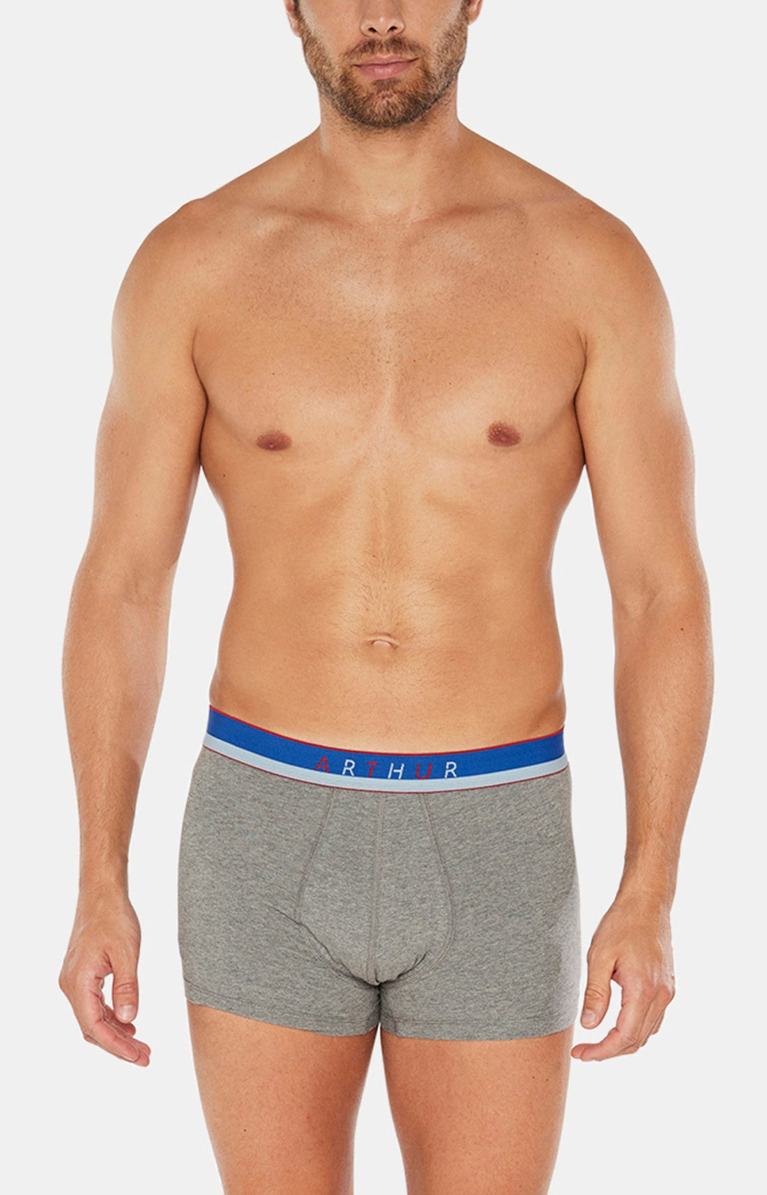 Boxer Slippé Homme Uni Gris 33