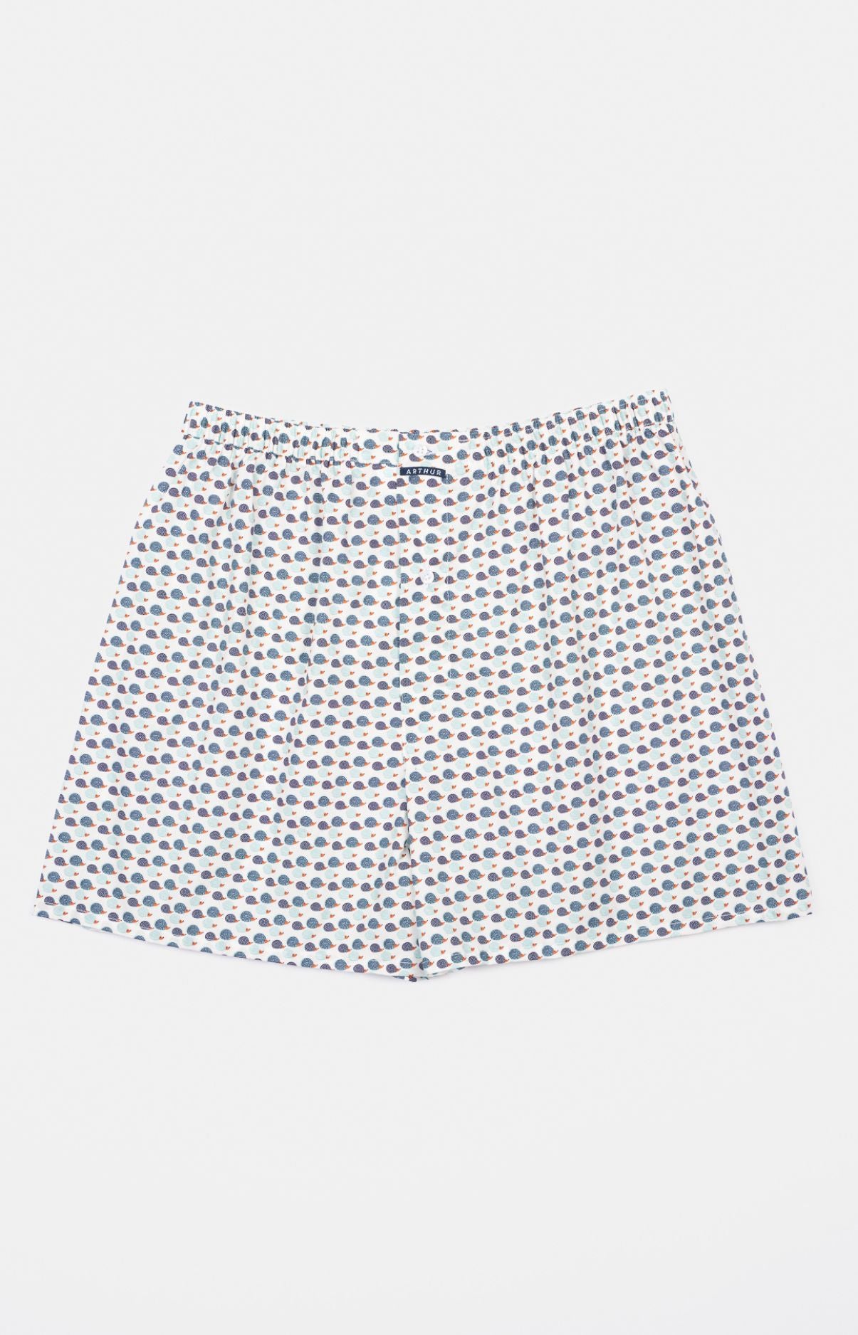 Caleçon Homme Hérisson Multicolore 1