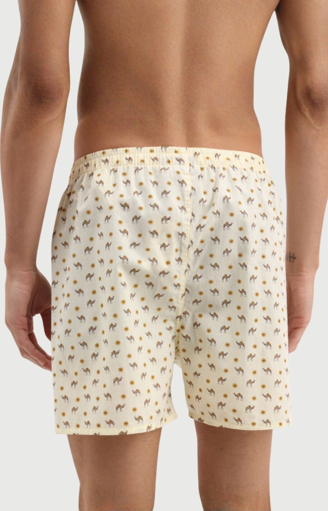 Caleçon Homme Dromadaire classique en popeline de coton 3