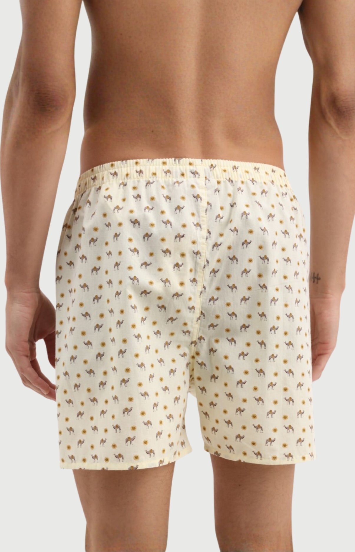 Caleçon Homme Dromadaire classique en popeline de coton 3