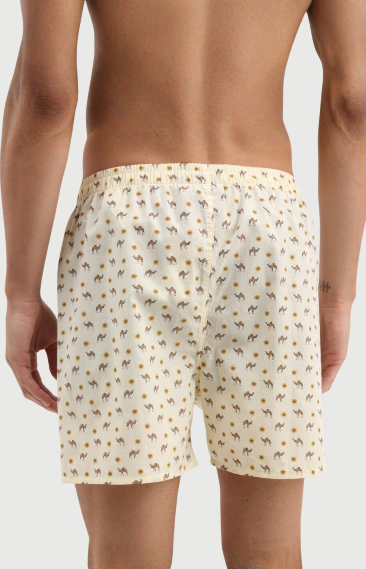 Caleçon Homme Dromadaire classique en popeline de coton 3